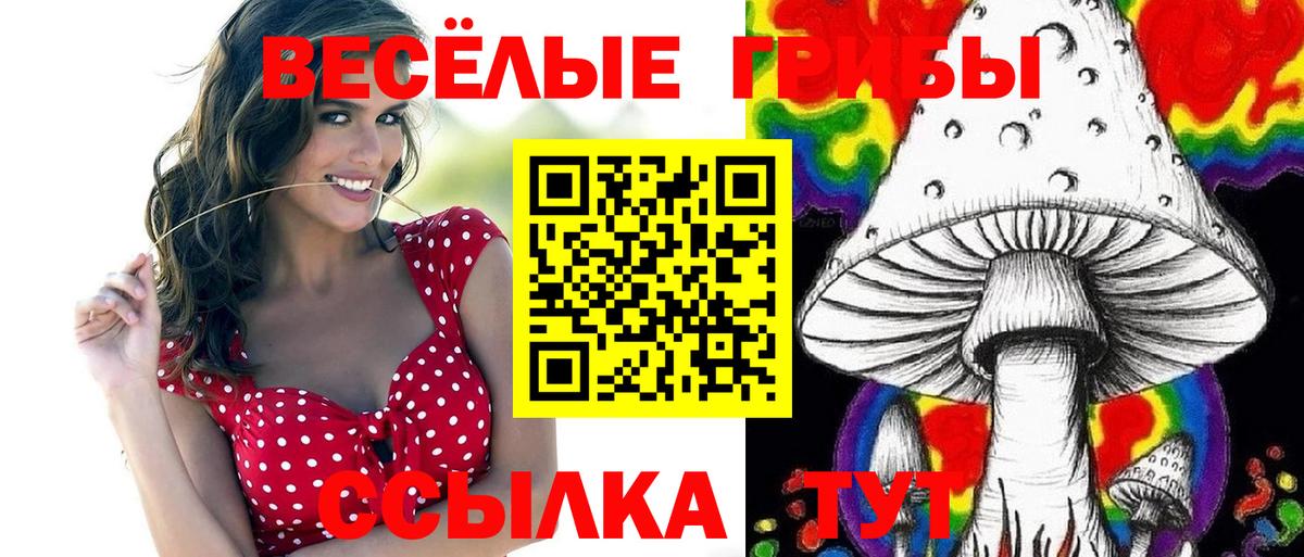 Псилоцибиновые грибы мицелий Георгиевск