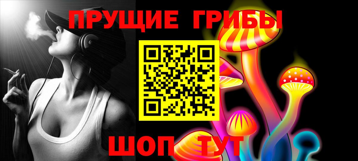 Галлюциногенные грибы Magic Shrooms  Вход с VPN  Георгиевск  Псилоцибиновые грибы Magic Shrooms 